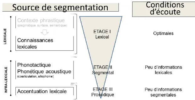 Figure 1.4 – Sources possibles d’information pour la segmentation lexicale, d'après Mattys et al