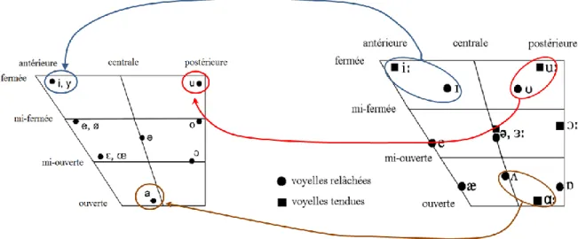 Figure 2.2 - trapèzes des voyelles simples du français (à gauche) et de l'anglais britannique (à droite), avec les  contrastes problématiques entourés en bleu (voyelles antérieures fermées), en rouge (voyelles postérieures fermées), et 