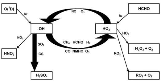 Fig. 4. Block diagram of the chemistry in the photo stationary state calculations.