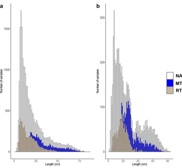 Figure 3.8 : Distribution of the number of fish in each size category at capture with (a) all the captured fish recorded in the database (28968 samples) and (b) the aged fish (6675 samples).
