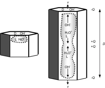 Fig. 2. Concentrated charge regions within ice without growth or sublimation (“equilibrium” on left) and during growth at speed v (right)