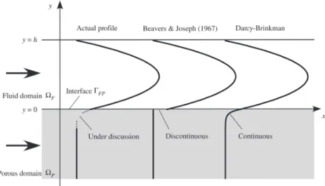 Figure I.11 – Comparison of different interface models for porous media flow. Taken from Fujisawa and Murakami [67].