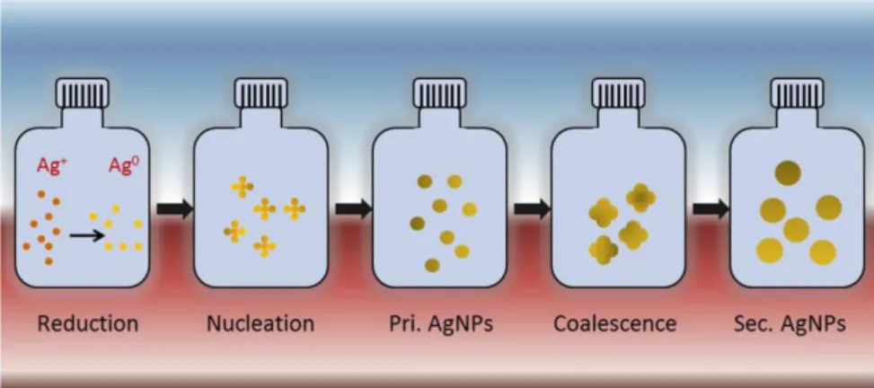 Figure 9 Representation of the chemical reduction process to synthesize colloidal Ag NPs