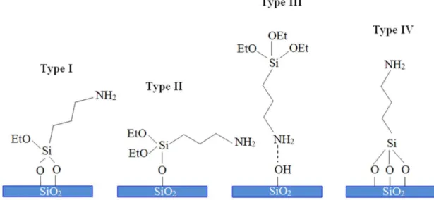 Figure 10 Four possible orientations of APTES molecules on -OH terminated glass substrates