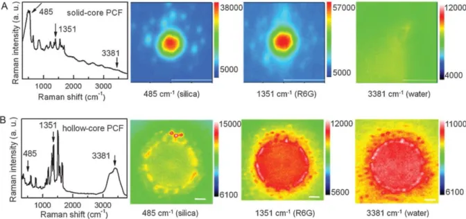 Figure  27 SERS spectrum and hyperspectral images  measured at the end of (a) an SC-PCF and (b) a HC-PCF  functionalized with Ag NPs and filled with an aqueous solution of R6G