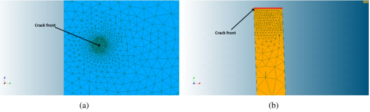Figure 2.10: Mesh in the crack tip vicinity from side view (a) and upper view (b).