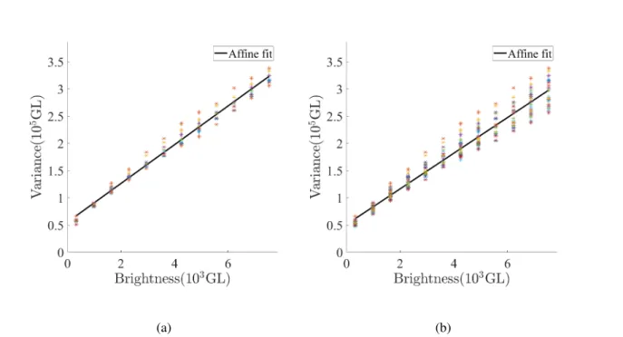 Figure 3.5: Variance of red brightness with (a) and without (b) corrections for rigid body mo- mo-tions