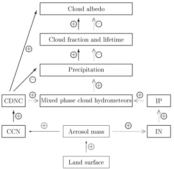 Fig. 4. Schematic diagram of the warm indirect aerosol effect (solid arrows) and glaciation indirect aerosol effect (dotted arrows) (adapted from Lohmann, 2002a)