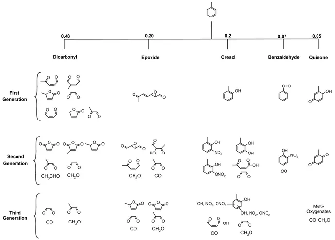 Fig. 2. Major reaction products in the toluene photooxidation system as implemented in the TOL MCM3a model used in this study (CO 2 is not shown)