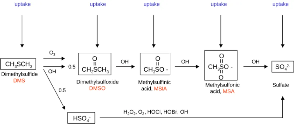 Fig. 2. Schematic of the DMS oxidation reactions in the aqueous phase as used in this study.
