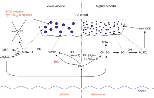 Fig. 3. Schematic of proposed halogen – sulfur – climate links in the MBL.