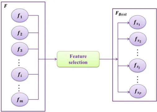 Figure 2.1: Feature Selection technique 
