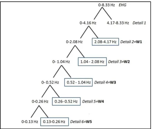 Figure 2.5: Wavelet decomposition  2.3.2 Monovariate analysis: Nonlinear features 