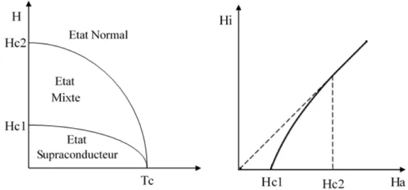 Figure I.5 : Représentation graphique (a) des différentes d’états des supraconducteurs de type  II et (b) du champ magnétique induit en fonction du champ magnétique appliqué pour les 
