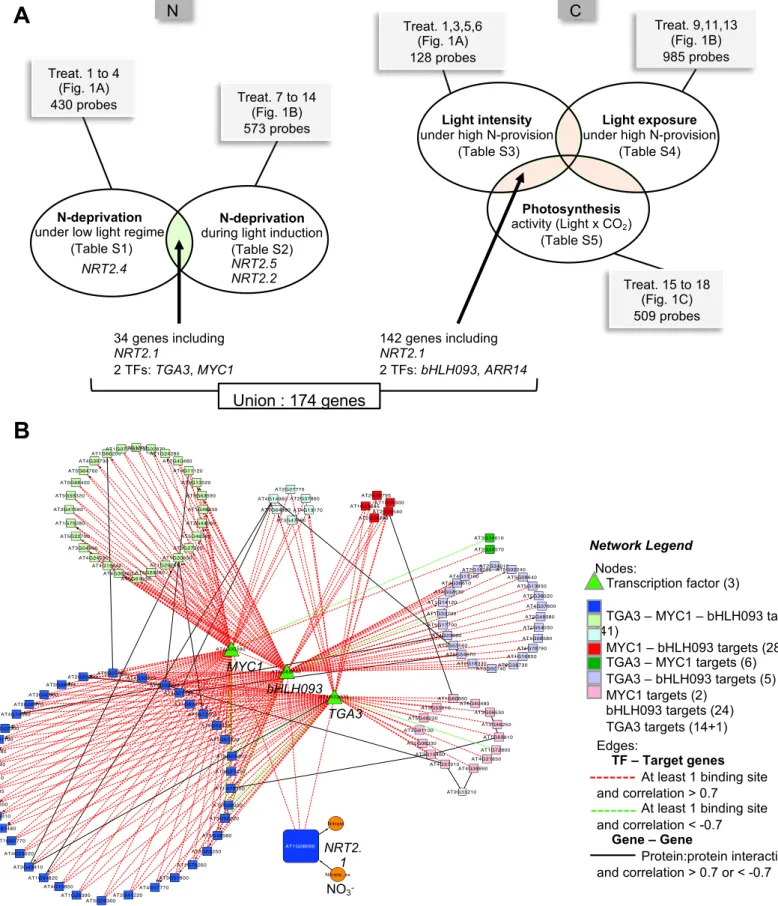 Figure 2. Gene expression multi-analysis driven by NRT2.1 expression pattern combined to an integrative analysis identified a candidate gene regulatory network connected to the NO 3 - transport system.