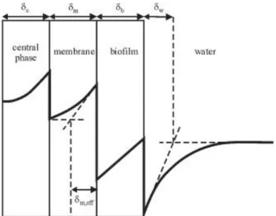 Figure 5 : Représentation schématique de la concentration dans un échantillonneur passif [80] 