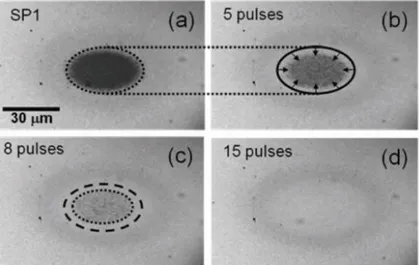 Figure 45 : Procédure de recristallisation d’un film de GeTe avec des impulsions laser courtes (8 ns)  (a) marque amorphe réalisée avec une fluence élevée (74 mJ/cm 2 ) ; (b) début de la recristallisation  (avec 5 impulsions) par croissance avec une fluenc