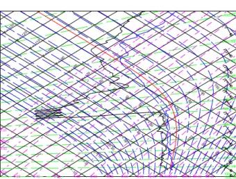 Fig. 1. Sounding from Bauru, 24 February 2004 at 20:15 UTC.