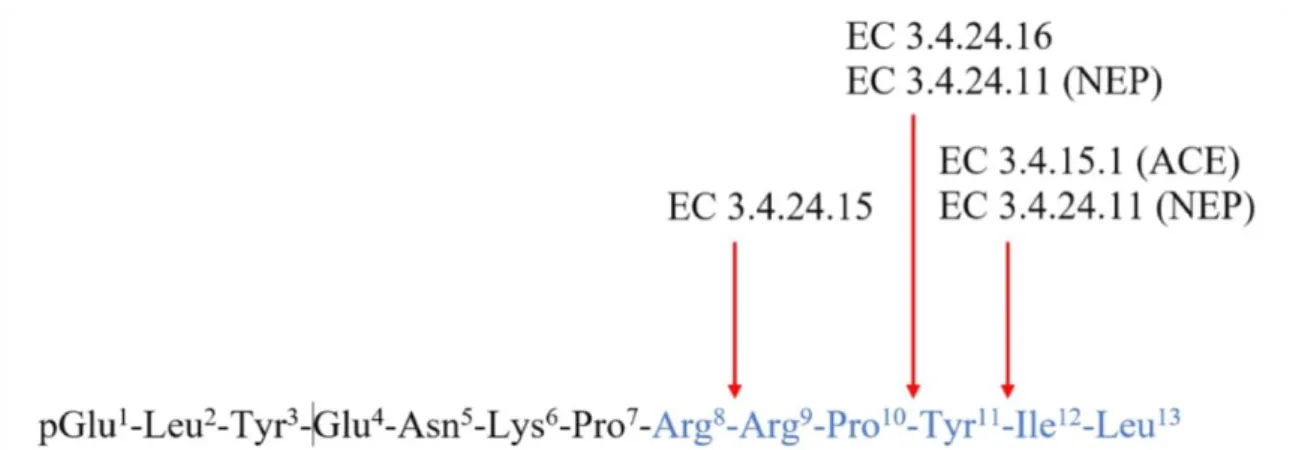 Figure 4 : Endopeptidases impliquées dans le clivage de la neurotensine[8-13] et sites de  clivage 