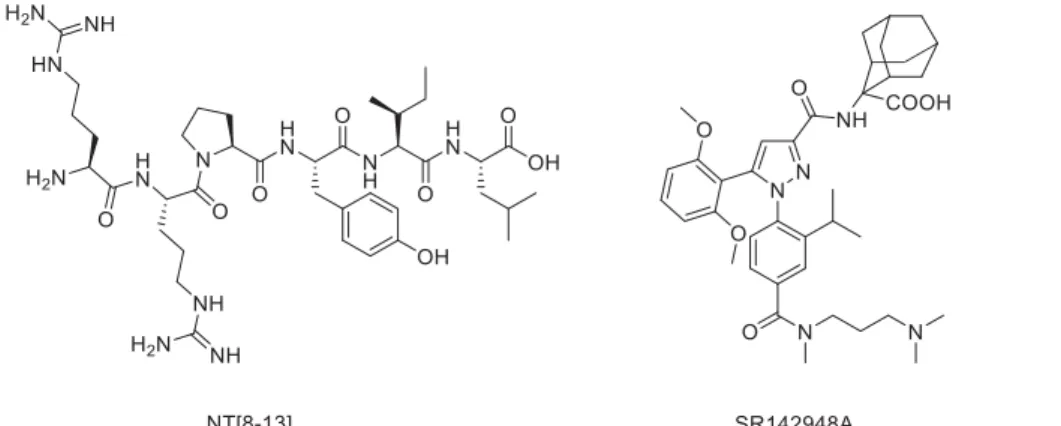 Figure 2. Chemical structure of NT conjugates and the unnatural amino acid L-TMSAla used in this study.