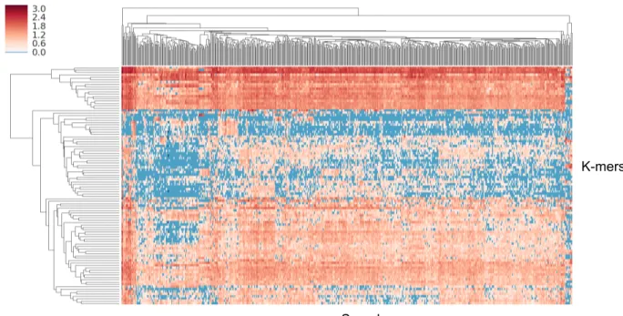 Figure 5.4: Heatmap of log10 counts for 100 randomly selected k-mers among 52,075 k-mers in DBSCAN cluster 1.