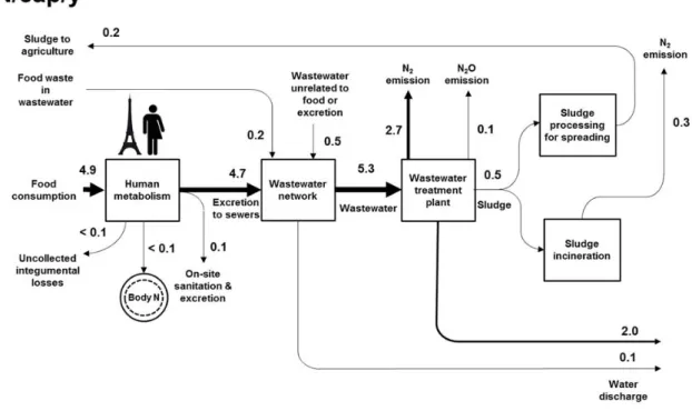 Figure 1-8. Flux d’azote urbains liés aux excrétions d’un habitant de l’agglomération parisienne   (Esculier 2018)