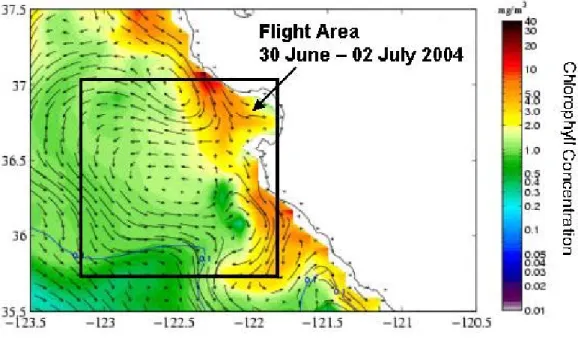 Fig. 6. A model reproduction of satellite data of chlorophyll concentrations and sea surface currents over the sample areas from the 28 June to 2 July 2004 (Kindle, 2005) showing the geographic variability of chlorophyll, a marker for phytoplankton blooms