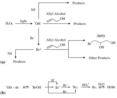 Fig. 1. (a) Simplified scheme showing the formation of reactive bromine species (Br*) and their reaction with allyl alcohol (AA) to form 3-bromo-1,2-propanediol (3BPD)