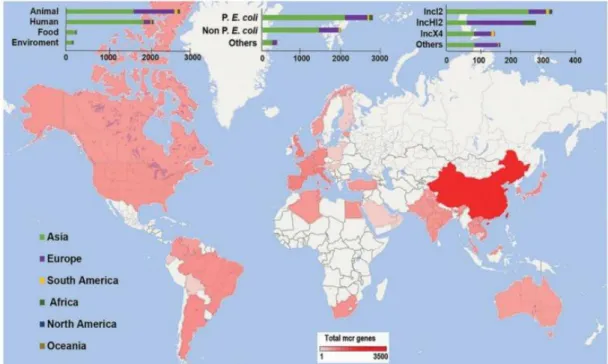 Figure 12. The prevalence of mobile colistin resistance (mcr) have been identified in  various countries 