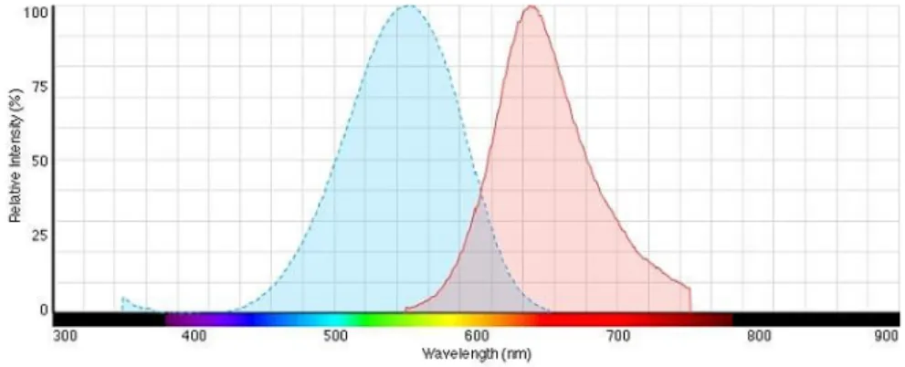 Figure 3: Spectre d'absorption et d’émission de fluorescence du Nile Red. 