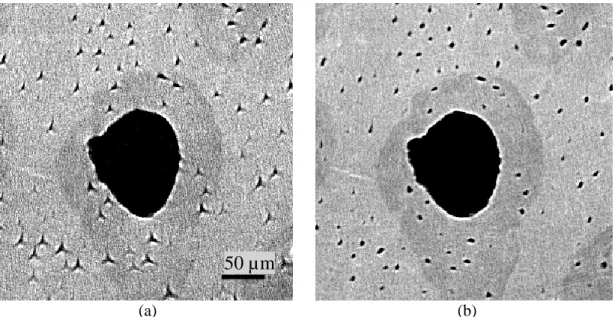 Figure 5.5 Illustration of the motion artifacts and its correction on a slice of reconstructed image with  voxel size of 1.4 µm 