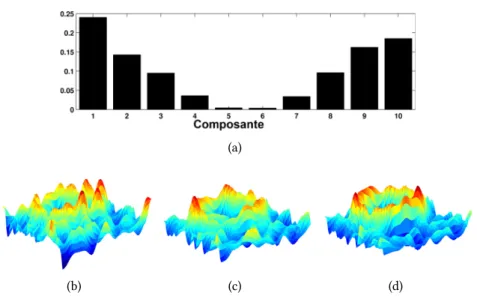 Figure 4.16 – Image surfacique de l’amplitude des gradients d’une image synth´etique sur une coupe centrale