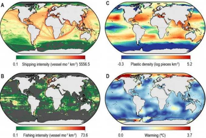 Figure 2 : Exemples de menaces globales opérant en milieu océanique : trafic  maritime  (A),  intensité  de  pêche  (B),  densité  de  matières  plastiques  (C),  et  réchauffement des températures de surface (D)