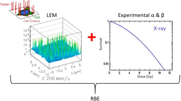 Figure 1.16: Local absorbed dose distribution according to the amorphous track structure representation used in all LEM versions for carbon ions [149, 168].