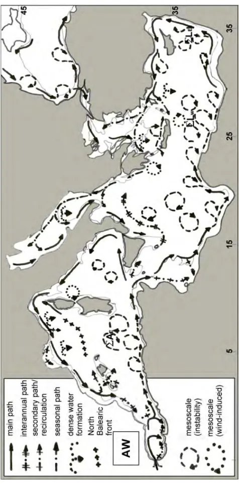 Fig. 2. Circulation of AW, inferred from [9] for the western basin and from [7] for the eastern one, and  of fresh waters in the Black Sea. The thin line represents the 200‐m isobath. See text for the definition of 