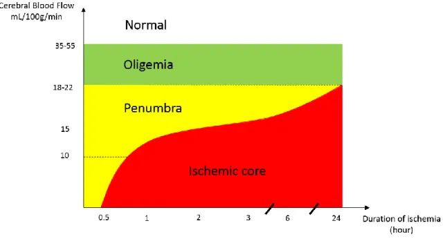 Figure  3.  Diagram  of  cerebral  blood  flow  threshold  and  duration  of  ischemia  for  different  tissue compartments in ischemic stroke