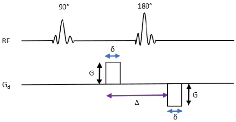 Figure  7.  Schema  of  the  diffusion-weighted  spin  echo  sequence.  Two  diffusion  gradient  pulses (denoted on diffusion gradient line, G d ) of amplitude G, duration of δ, interval of Δ  and opposite in direction, are applied before and after the 18