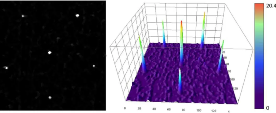 Figure 3.8: Zoomed slice of µ, estimated from Model 015 phantom, con- con-taining 6 ROIs .