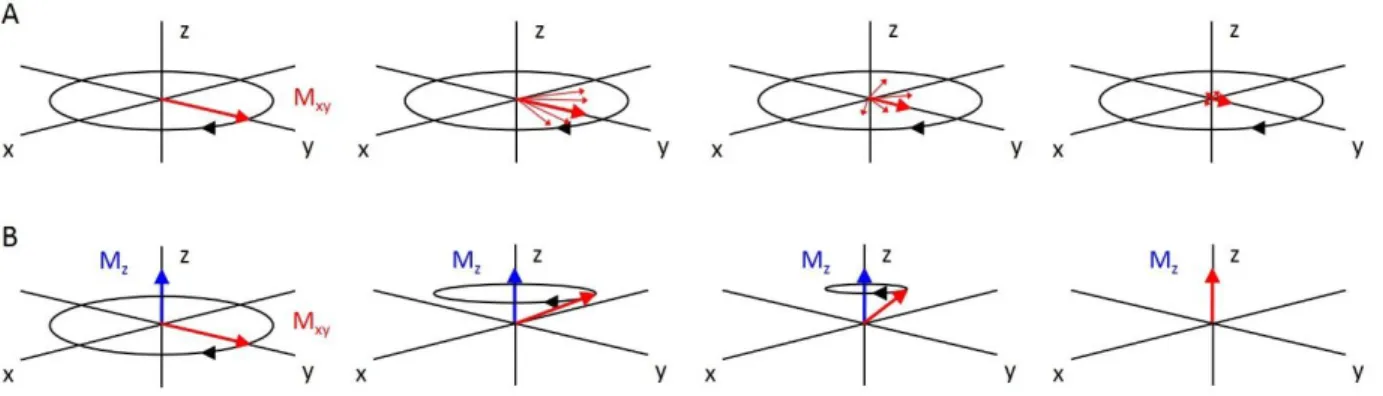 Figure 2.2. (A) 