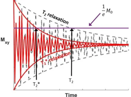 Figure 2.4. Time evolution of the complex transverse magnetization  