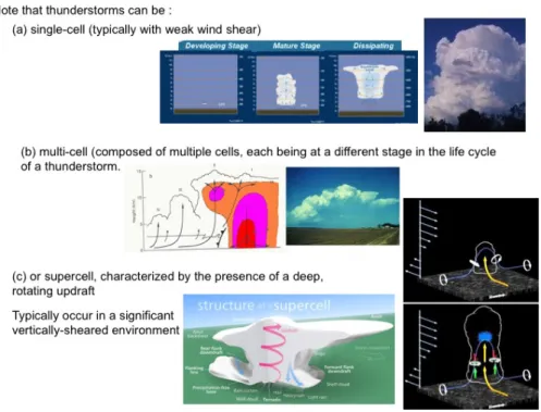 Fig. 1.10 Life cycle of deep convective clouds. (a) single-cell, (b) multi-cell or (c) supercell storms