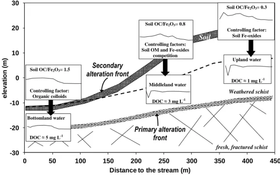 Figure  7.7  Sketch  summarizing  the  processes  responsible  for  the  topography-related  REE  pattern  in  a  theoretical  catchment