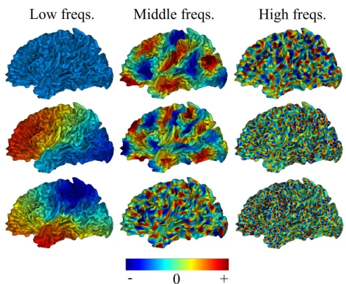 Figure 2.1.: Some examples of Laplacian eigenvectors of a brain surface. In the left column, some eigenvectors corresponding to small eigenvalues (low spatial frequencies) are shown
