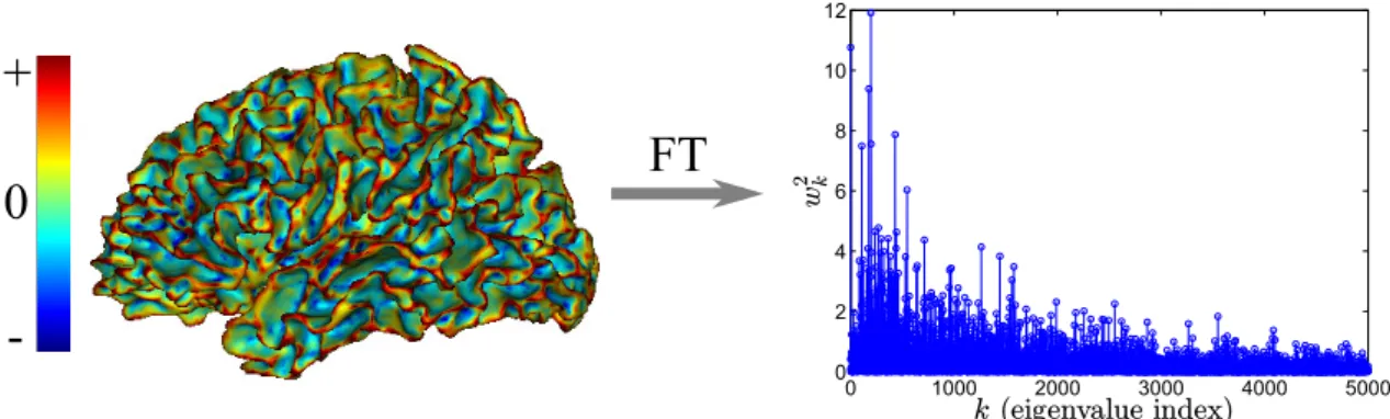 Figure 2.2.: Left : A function that is defined on a brain surface. Right : By applying the Fourier transform (FT) on this function, its power spectrum is computed
