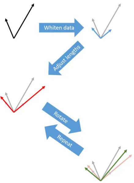Figure 11: Symmetric orthogonalisation approach. The correlations between ROIs introduced during  source reconstruction can be removed by mutually orthogonalising the ROI time-series, illustrated here for  two vectors in two dimensions