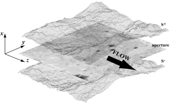 Figure 1. Upper (S + ) and lower (S - ) surface and aperture representation of the fracture, measured at t 0