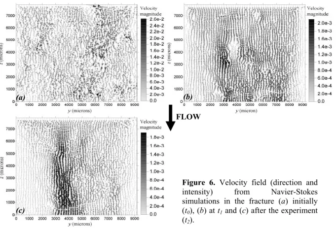 Figure  6.  Velocity  field  (direction  and  intensity)  from  Navier-Stokes  simulations  in  the  fracture  (a)  initially  (t 0 ), (b) at t 1  and (c) after the experiment  (t 2 )