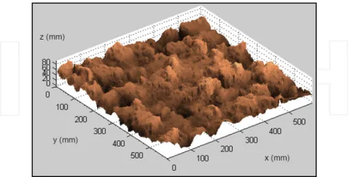 Figure 1. Microtopography of a seedbed surface