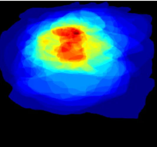 Figure 3.3: Lesion pixel occurrence in a normalized image P (x, y|Lesion) obtained from an annotated dataset