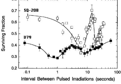 Figure 2.4  Extrait de [Ponette 2000], la survie en fonction du temps de cellules soumises à 2 irradiations consécutives (V79 broblastes, 1 puis 4 Gy, et SQ20B, 2 puis 4 Gy) avec des faisceaux d'électrons de 3,5 MeV à 12 Gy.s 1 .